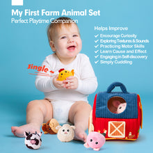 Load image into Gallery viewer, Montessori Farm Animal Set for 6-12 Months