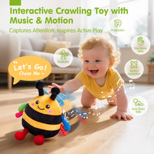 Laden Sie das Bild in den Galerie-Viewer, Baby Crawling Plush Toy - Dancing Bee
