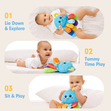 Load image into Gallery viewer, Multi-Sensory Tummy Time Toy