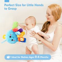 Load image into Gallery viewer, Multi-Sensory Tummy Time Toy