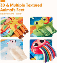 Load image into Gallery viewer, Baby Books 0-6 Months Crinkle Baby Toys 2 PCS