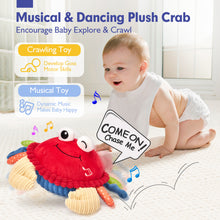 Load image into Gallery viewer, Baby Crawling Plush Toy - Dancing Crab
