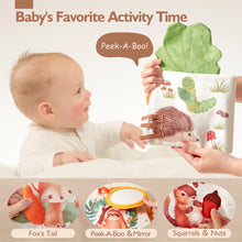Charger l'image dans la visionneuse de la galerie, Baby Books 0-6 Months Tummy Time Sensory Toy
